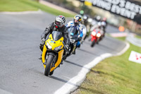 Oulton-Park-21st-March-2020;PJ-Motorsport-Photography-2020;anglesey;brands-hatch;cadwell-park;croft;donington-park;enduro-digital-images;event-digital-images;eventdigitalimages;mallory;no-limits;oulton-park;peter-wileman-photography;racing-digital-images;silverstone;snetterton;trackday-digital-images;trackday-photos;vmcc-banbury-run;welsh-2-day-enduro